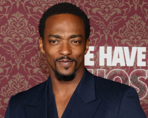 Anthony Mackie Really Wanted To Be Cast as Black Panther in the MCU