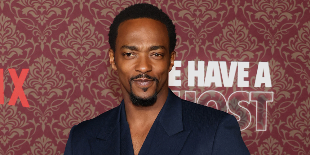 Anthony Mackie Really Wanted To Be Cast as Black Panther in the MCU