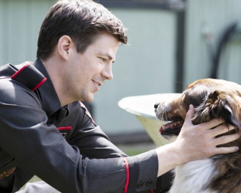 11 of the Best Dog Movies on Netflix, From "Marmaduke" to "White Fang"