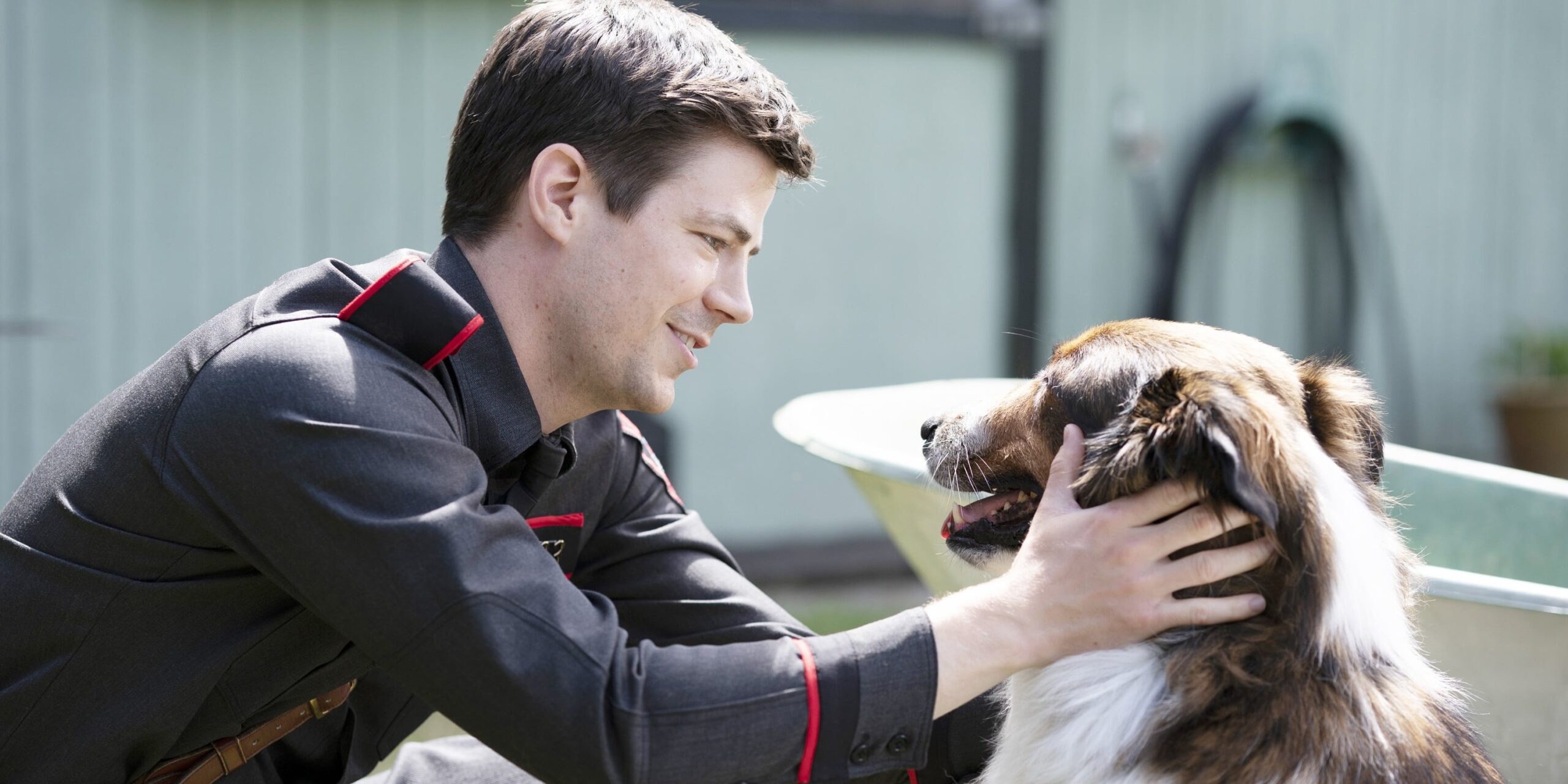 11 of the Best Dog Movies on Netflix, From "Marmaduke" to "White Fang"