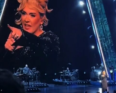 Adele pauses her Las Vegas concert on hold to tell security to leave a fan alone – Socialite Life