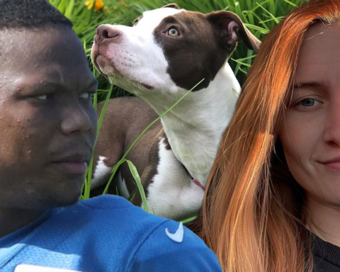 Lions Star David Montgomery, Girlfriend's Dog Maims Neighbor's Pet In Bloody Attack