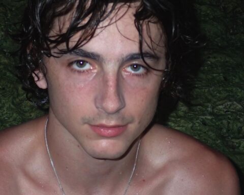 Timothée Chalamet, Eric Decker, Tom Daley, Evan Lamicella, and more Insta Snaps