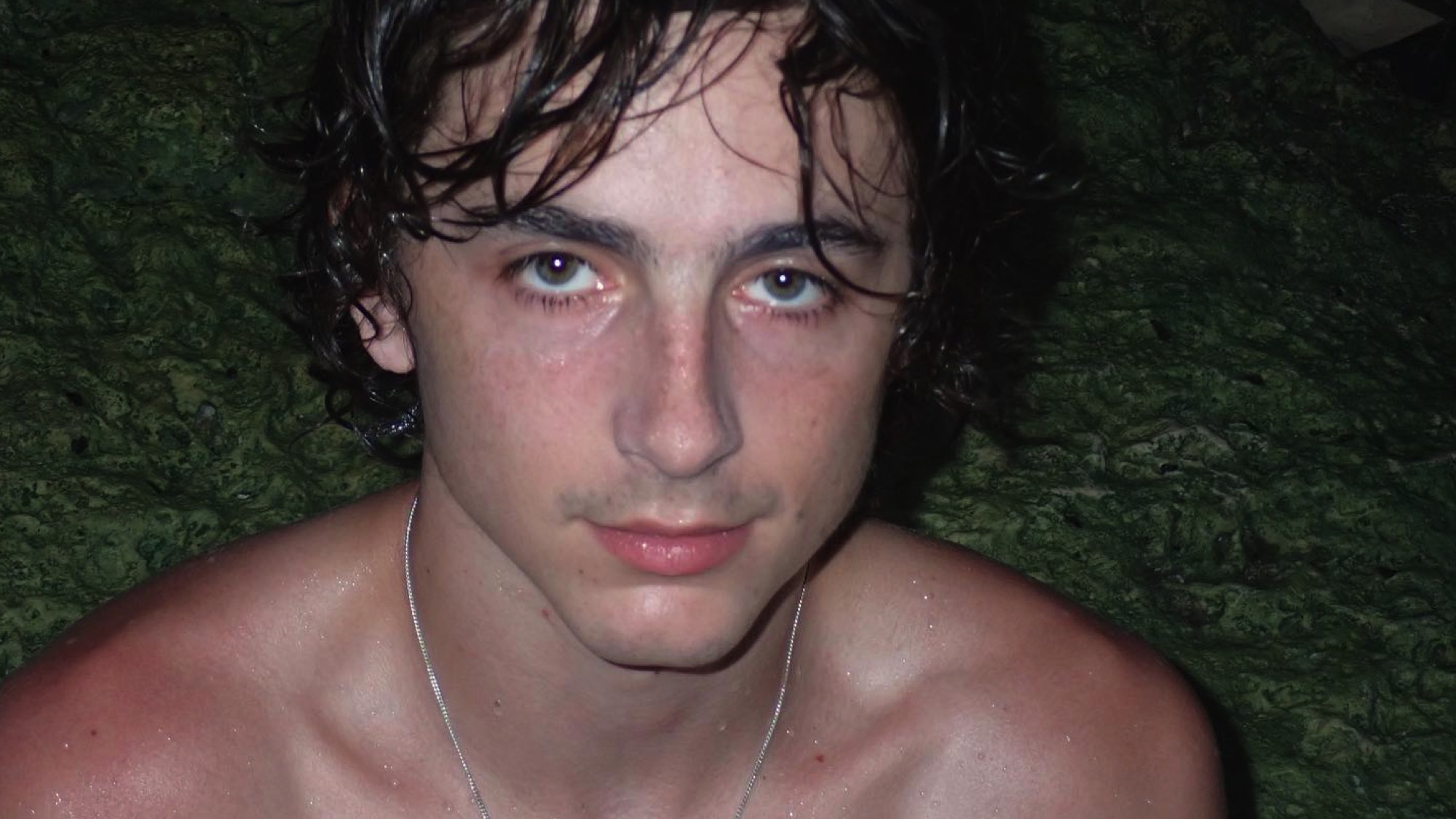 Timothée Chalamet, Eric Decker, Tom Daley, Evan Lamicella, and more Insta Snaps