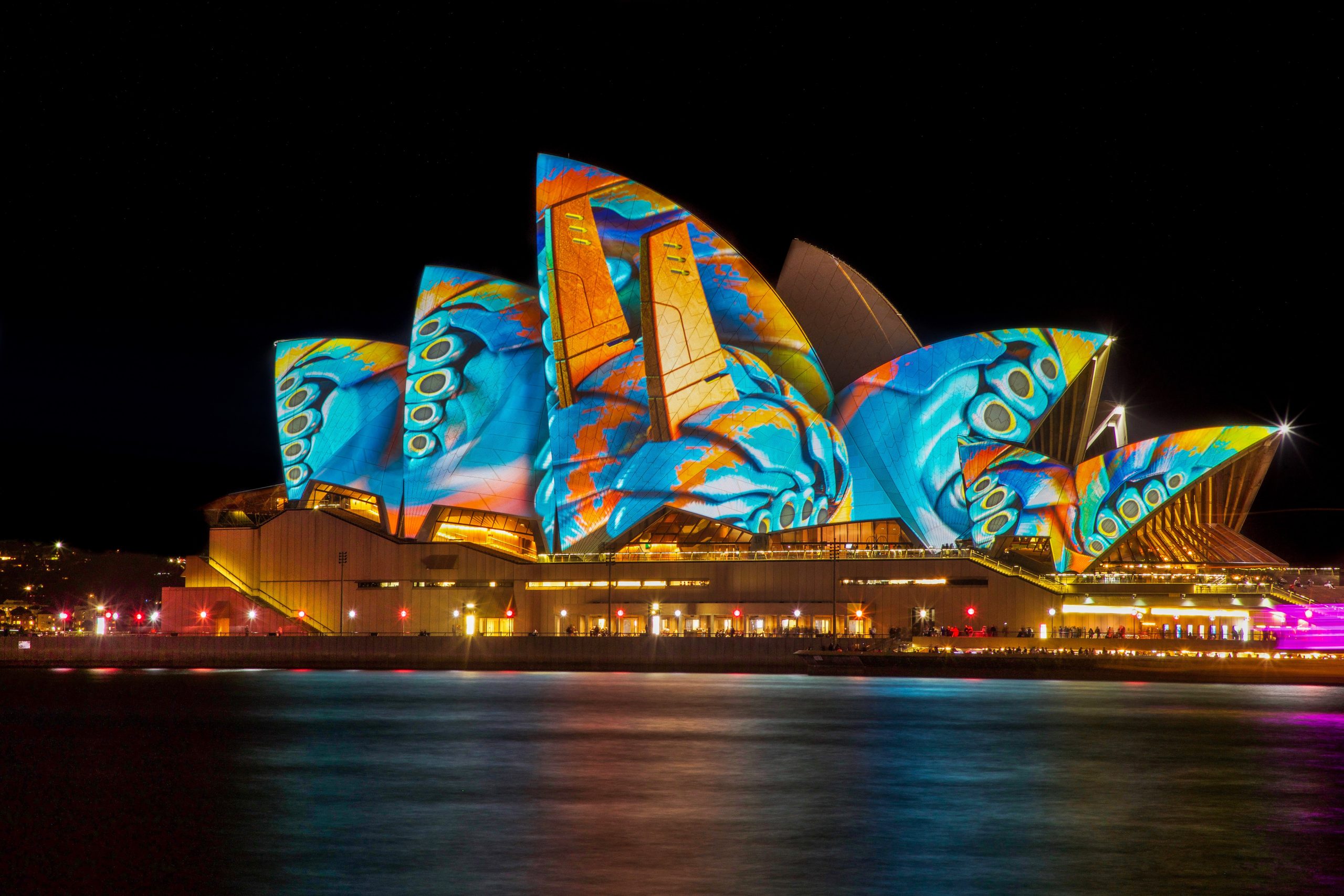 Australian Celebrities Making Their Mark: Unveiling Hidden Talents and Passions