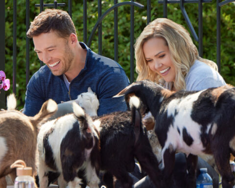 Emilie Ullerup Tries Goat Yoga in Hallmark Channel's 'Retreat To You'