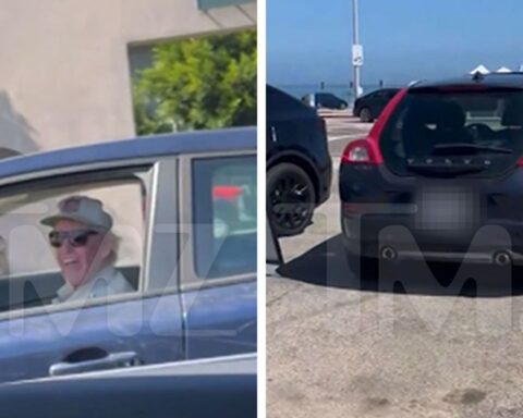 Gary Busey Allegedly Involved In Hit-And-Run, Woman Records Confrontation on Video