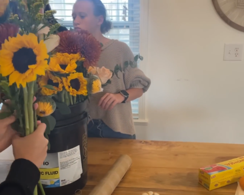 Josie Duggar Makes Ultra-Rare Appearance in Duggar Family Video