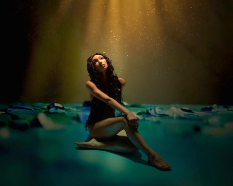 Nicollette Sullivan Shines with Her Reflective Cover of Don McLean's "Vincent"