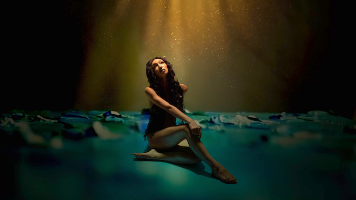 Nicollette Sullivan Shines with Her Reflective Cover of Don McLean's "Vincent"