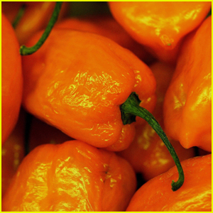 Paqui Discontinues 'One Chip Challenge' Amid Report Linking Teen's Death to Ingesting the Spicy Food