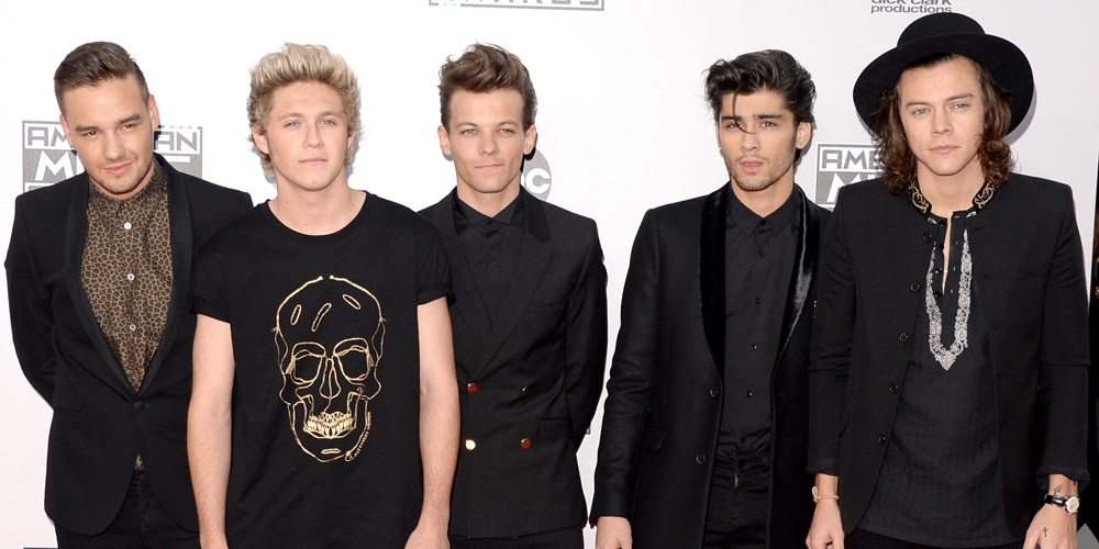 Will One Direction Ever Reunite? Here's What Each Member Has Said About the Possibility