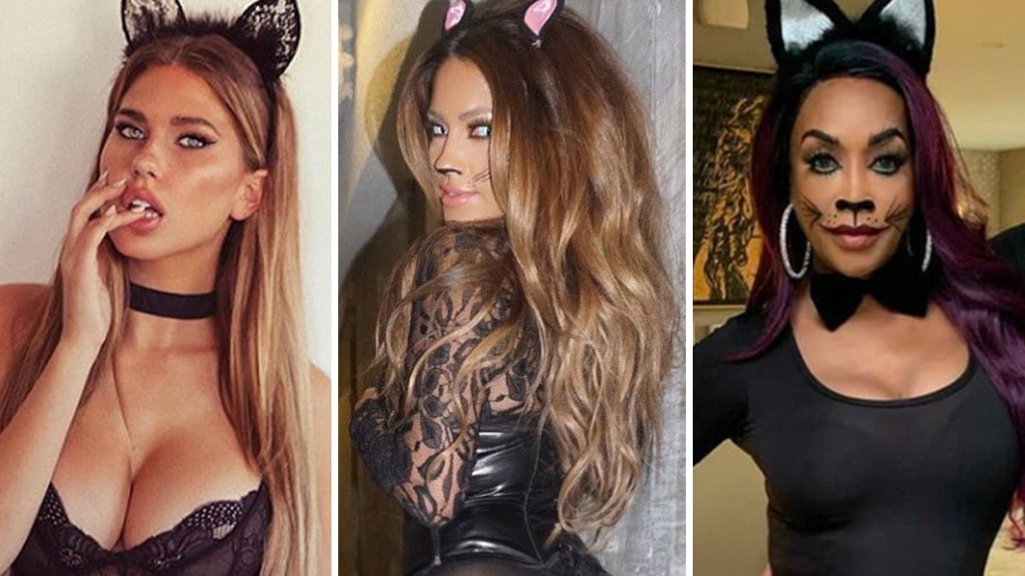 Black Cat Halloween Costumes ... Litter-ly All Over Hollywood!