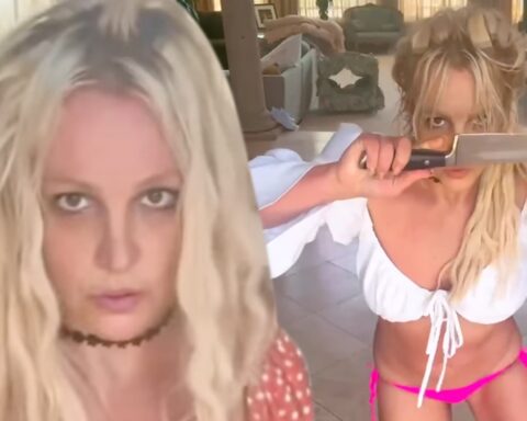 Britney Spears Launches on Cops Who Did Welfare Check After Dancing with Knives