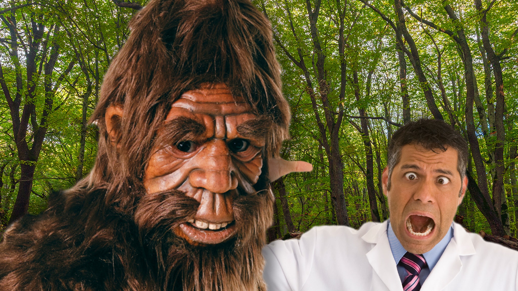 Cops Urge Bigfoot Sightings Be Investigated By Scientists, Anthropologists